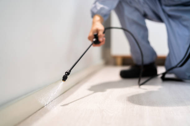 Licensed Termite Control service in North Scituate, MA - Nex Pest Control