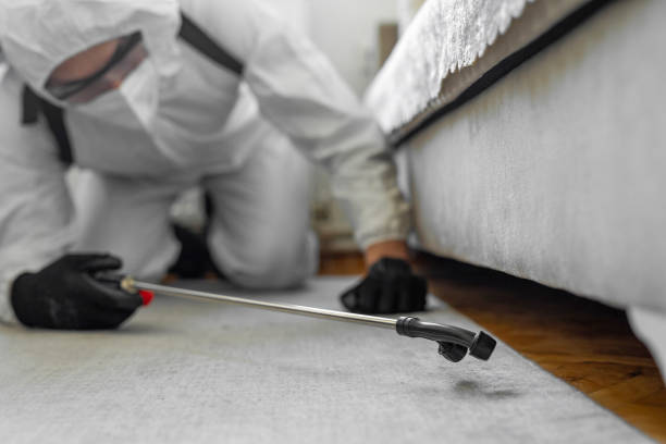 Professional Termite Control technician working in North Scituate, MA