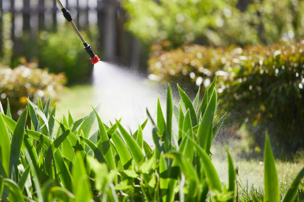 24/7 Emergency Termite Control experts in North Scituate, MA