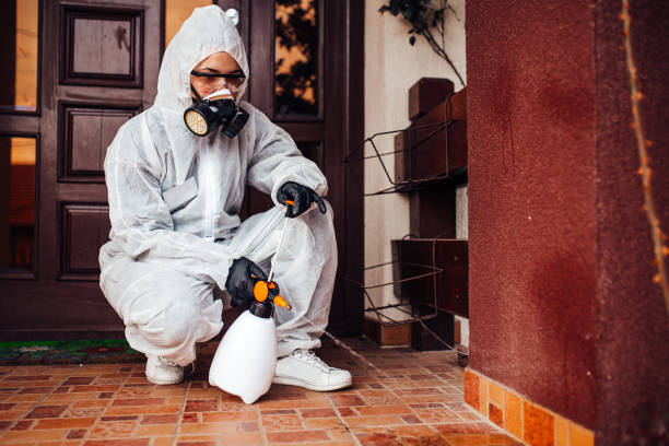 Reliable Termite Control contractor in North Scituate, MA by Nex Pest Control