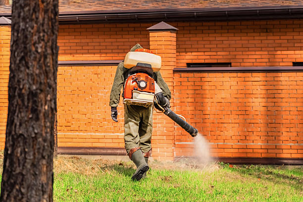 Trusted Termite Control service in North Scituate, MA - Nex Pest Control